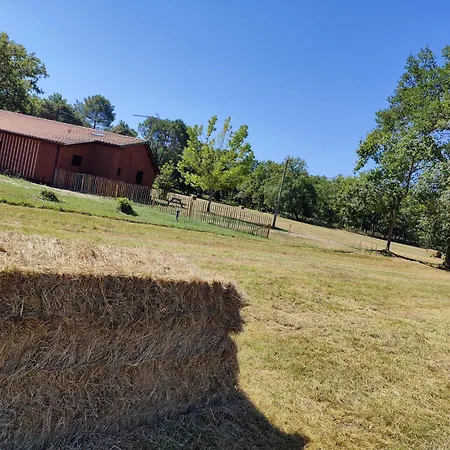 Dom wakacyjny Rural Bergerie Couyrasseau *