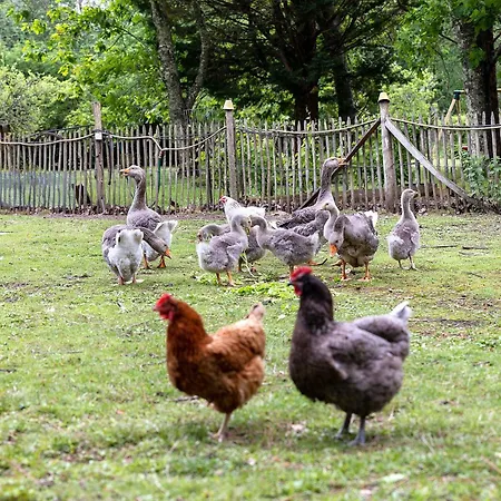 Rural Bergerie Couyrasseau 펜션
